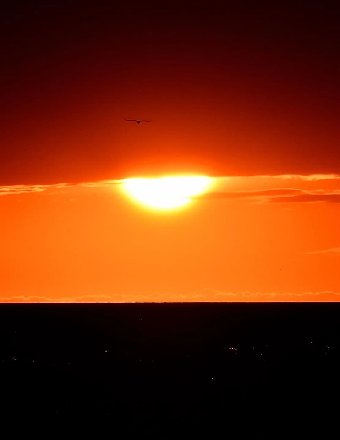 neutchy image