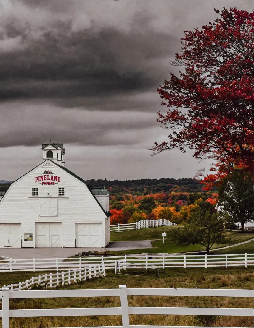Maineland Photography image