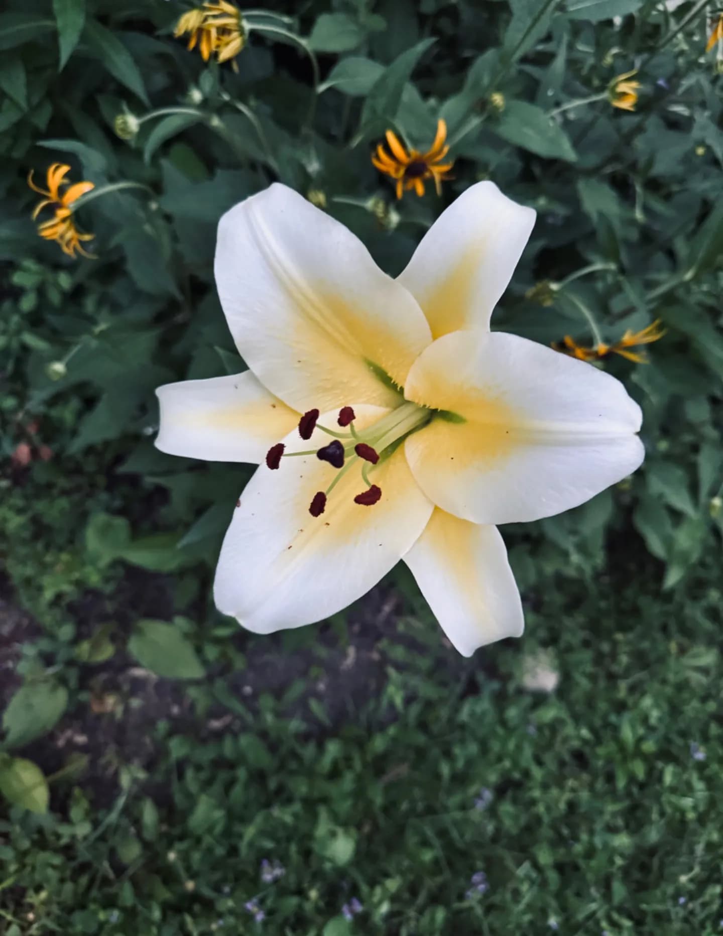 Brooke’s Photography image