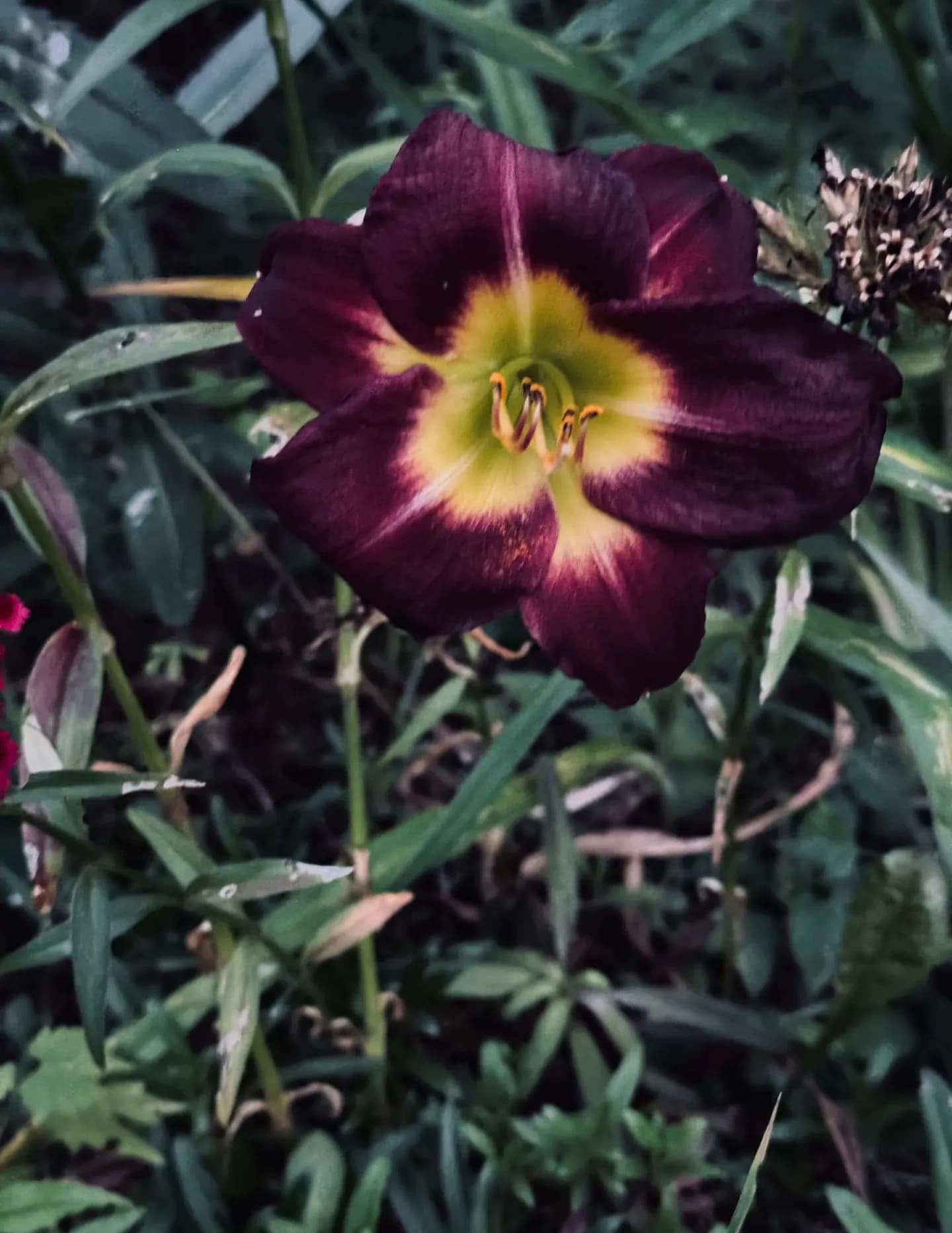 Brooke’s Photography image