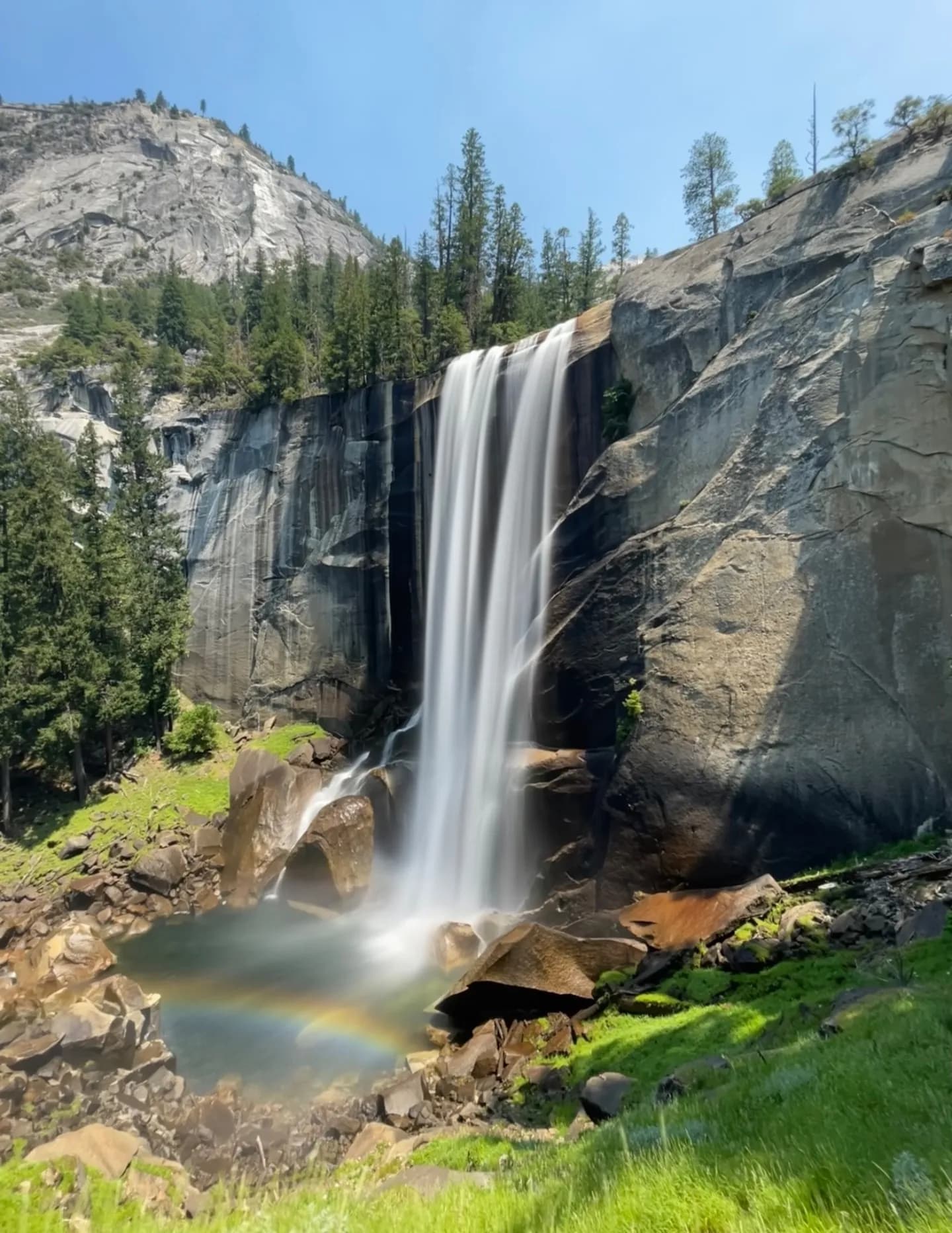 RTscape image