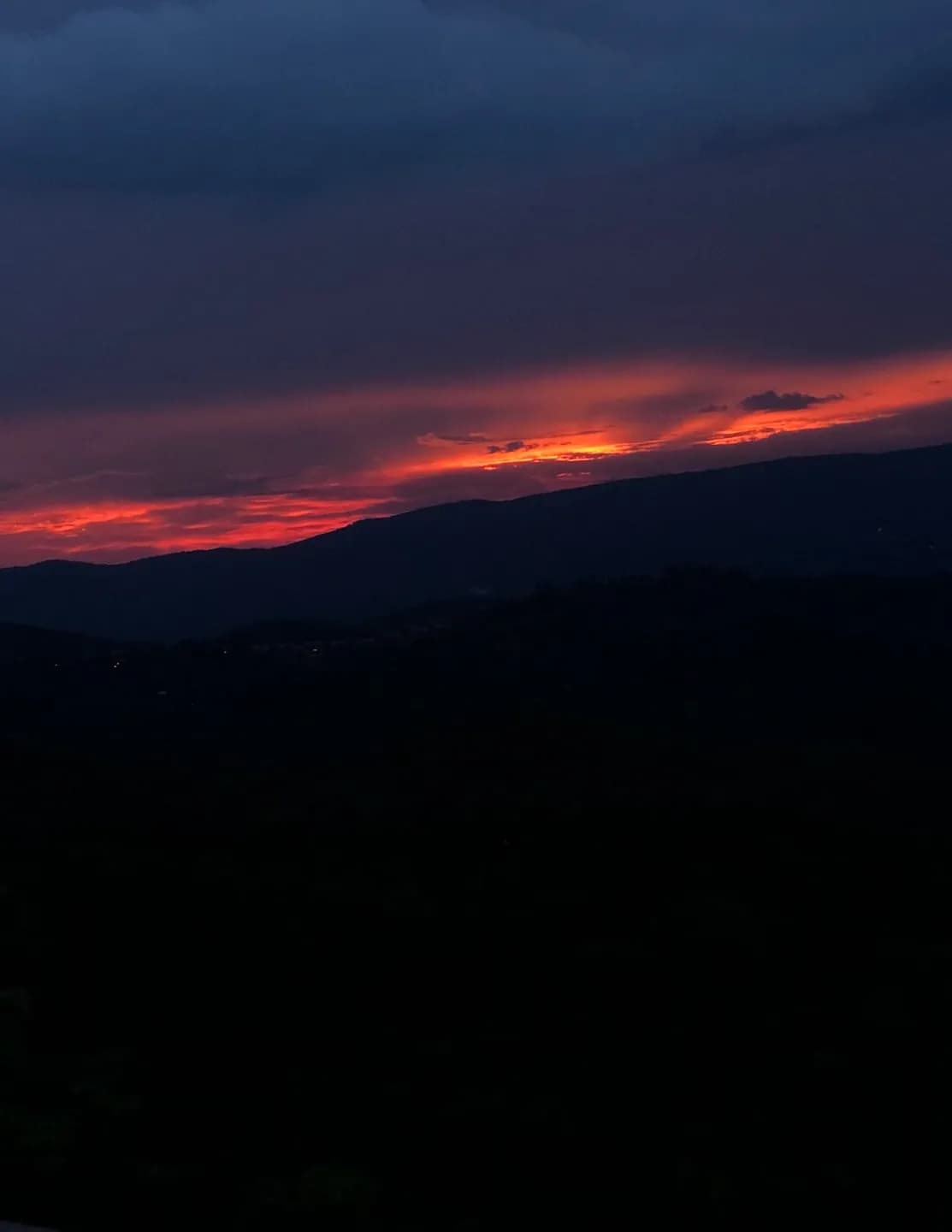 WildWoodSkies image