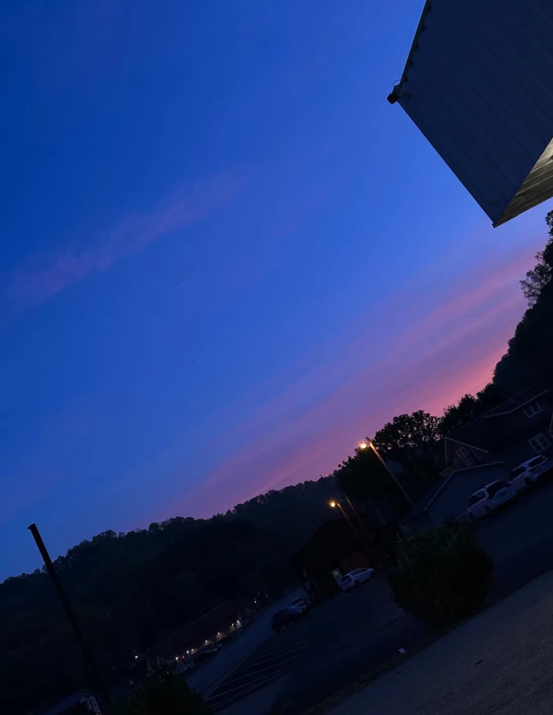 WildWoodSkies image