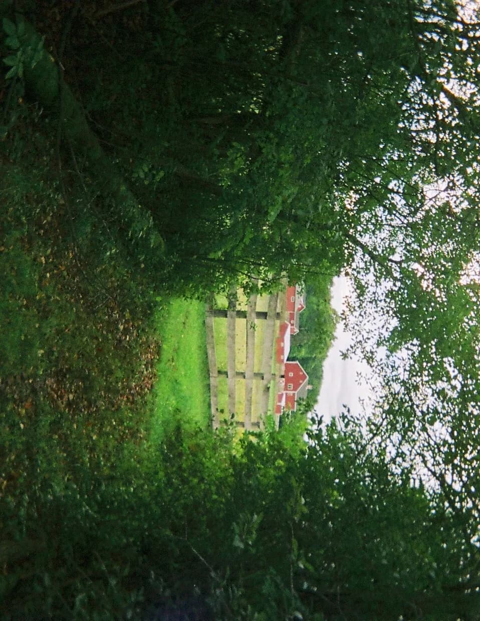 yllom image