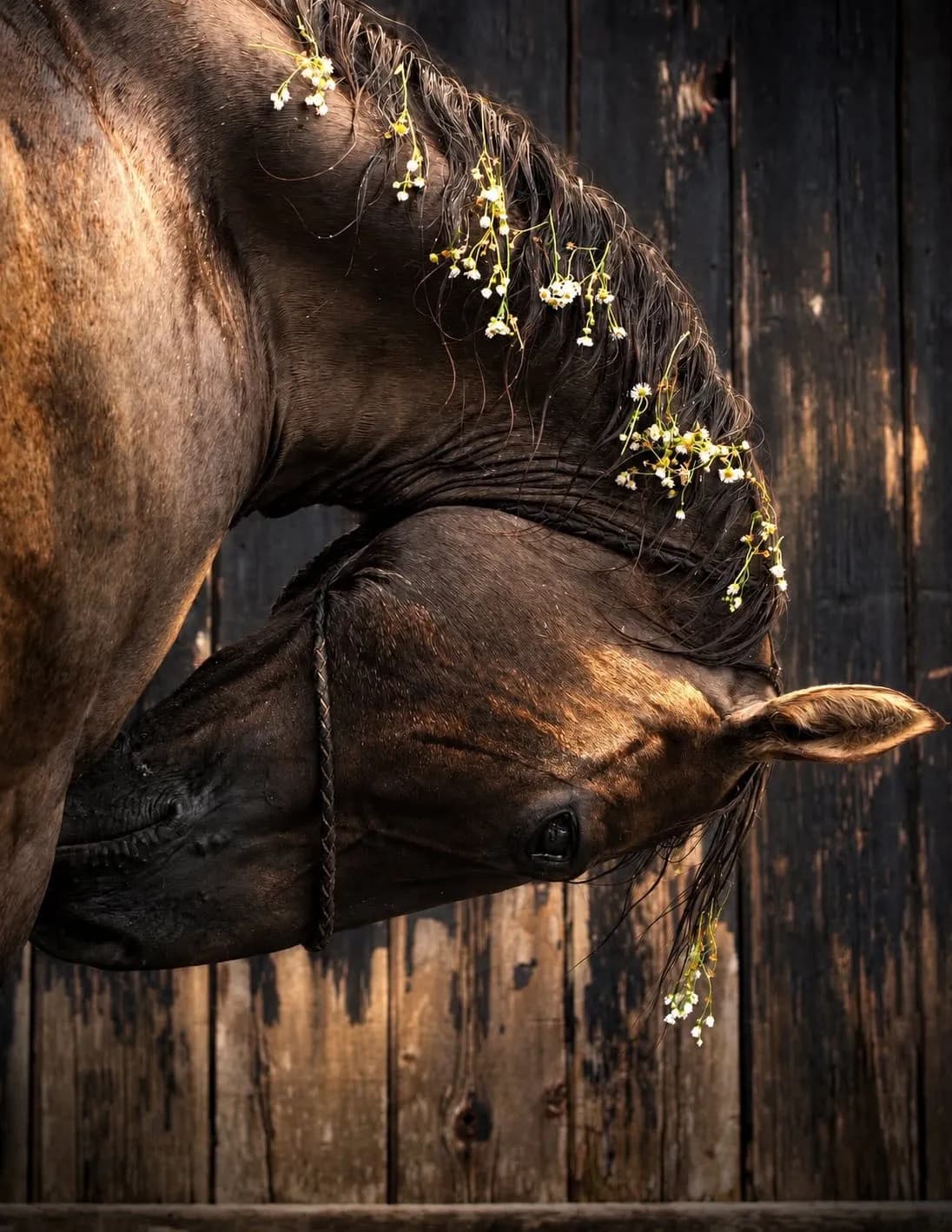 Nikki Hickey image