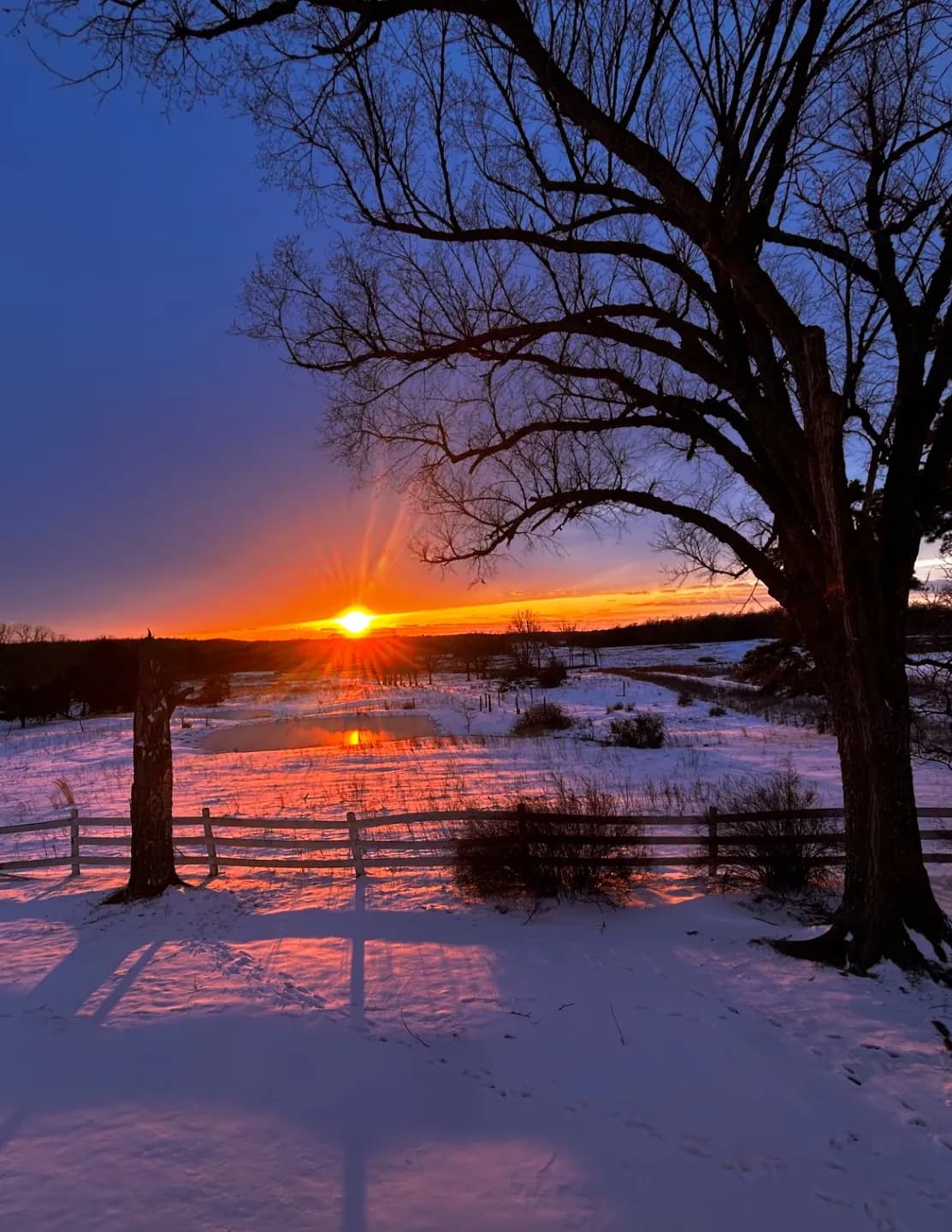 Captured by Grace image