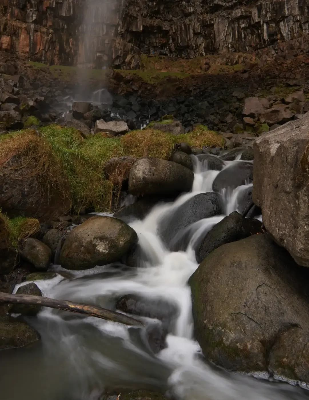 Doug Hill image