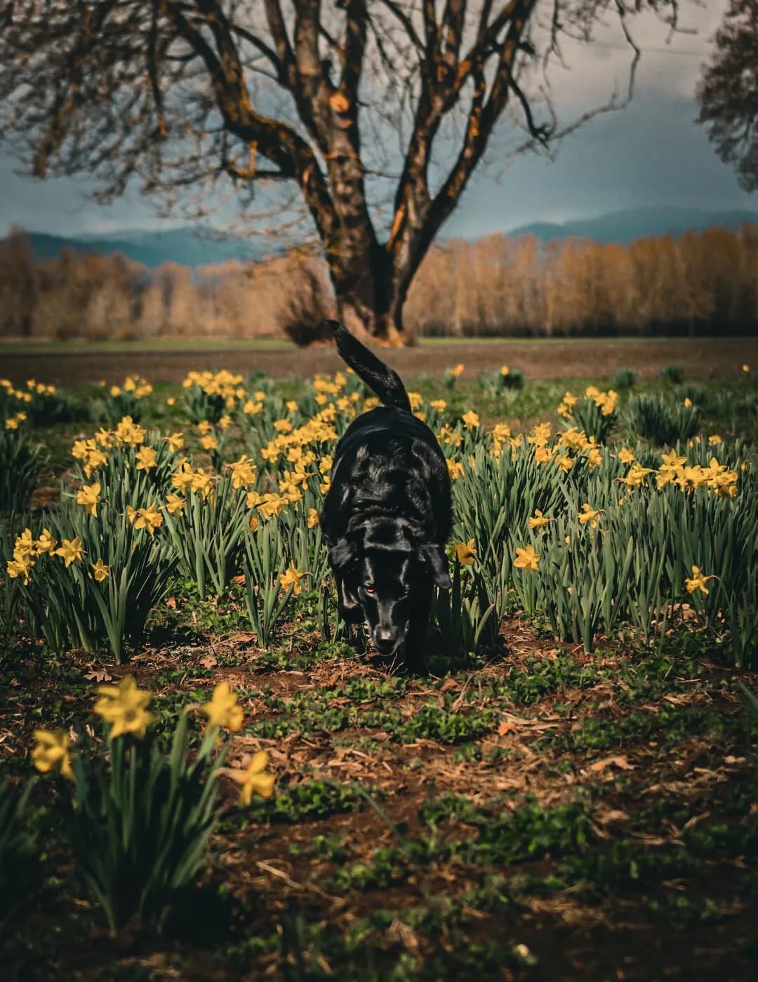 Heather Connelly image