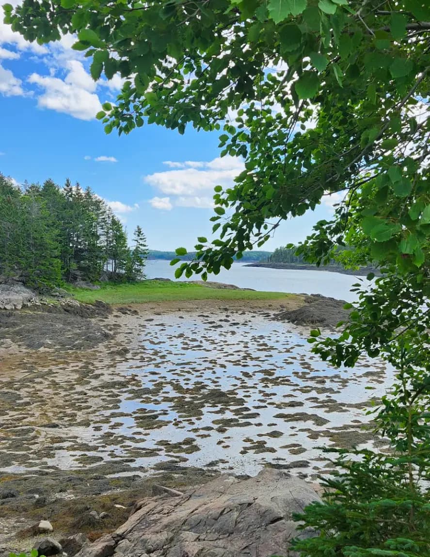 jmchesson image