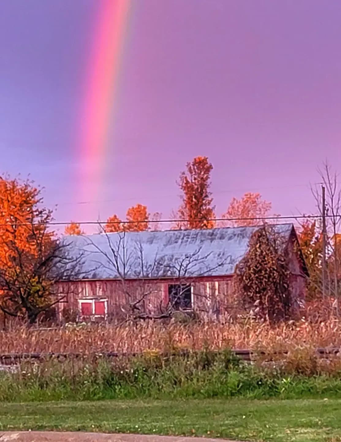 Sheryl L Sutter image