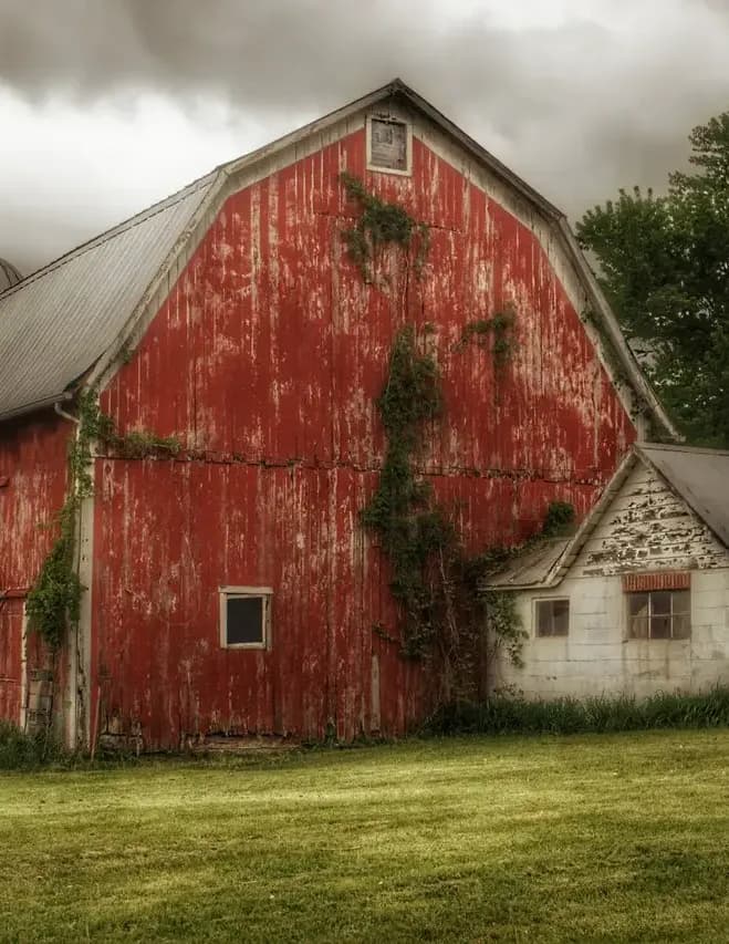 Sheryl L Sutter image