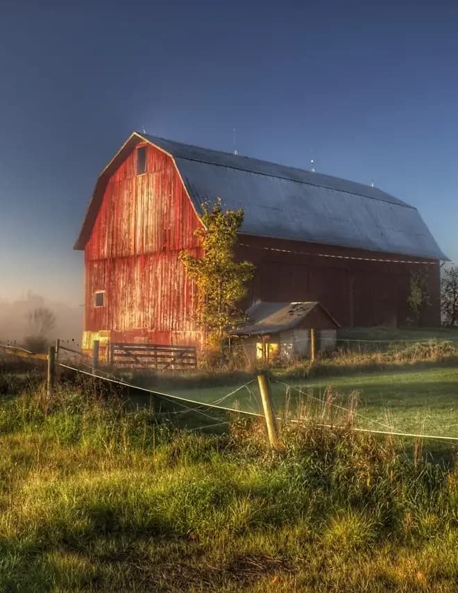 Sheryl L Sutter image