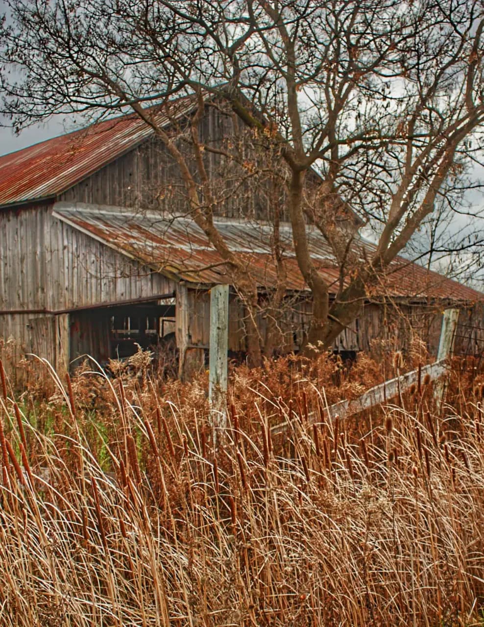 Sheryl L Sutter image