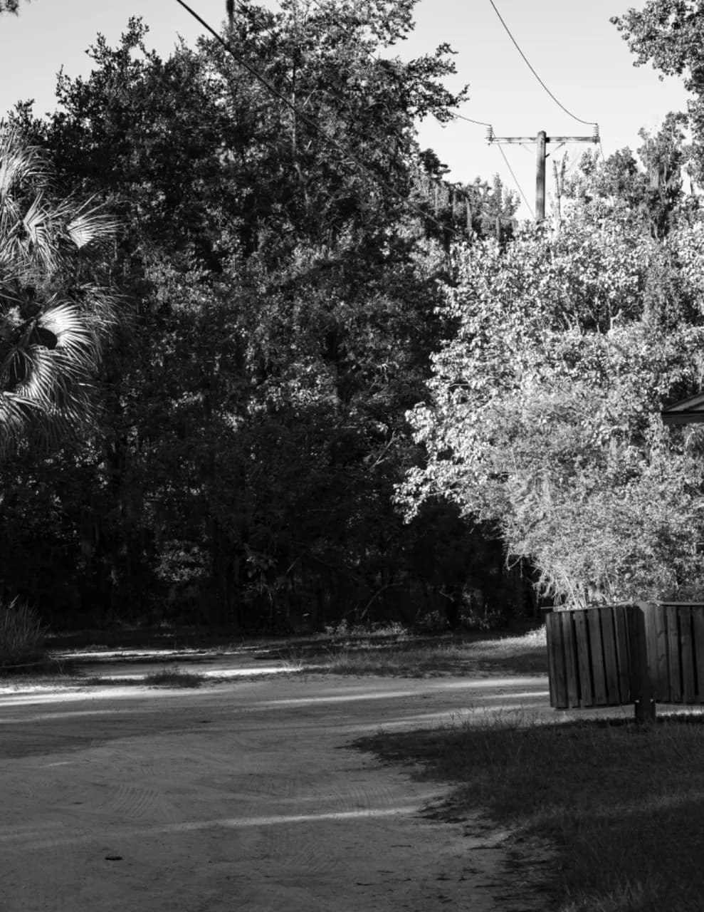 ZMemories Photography image