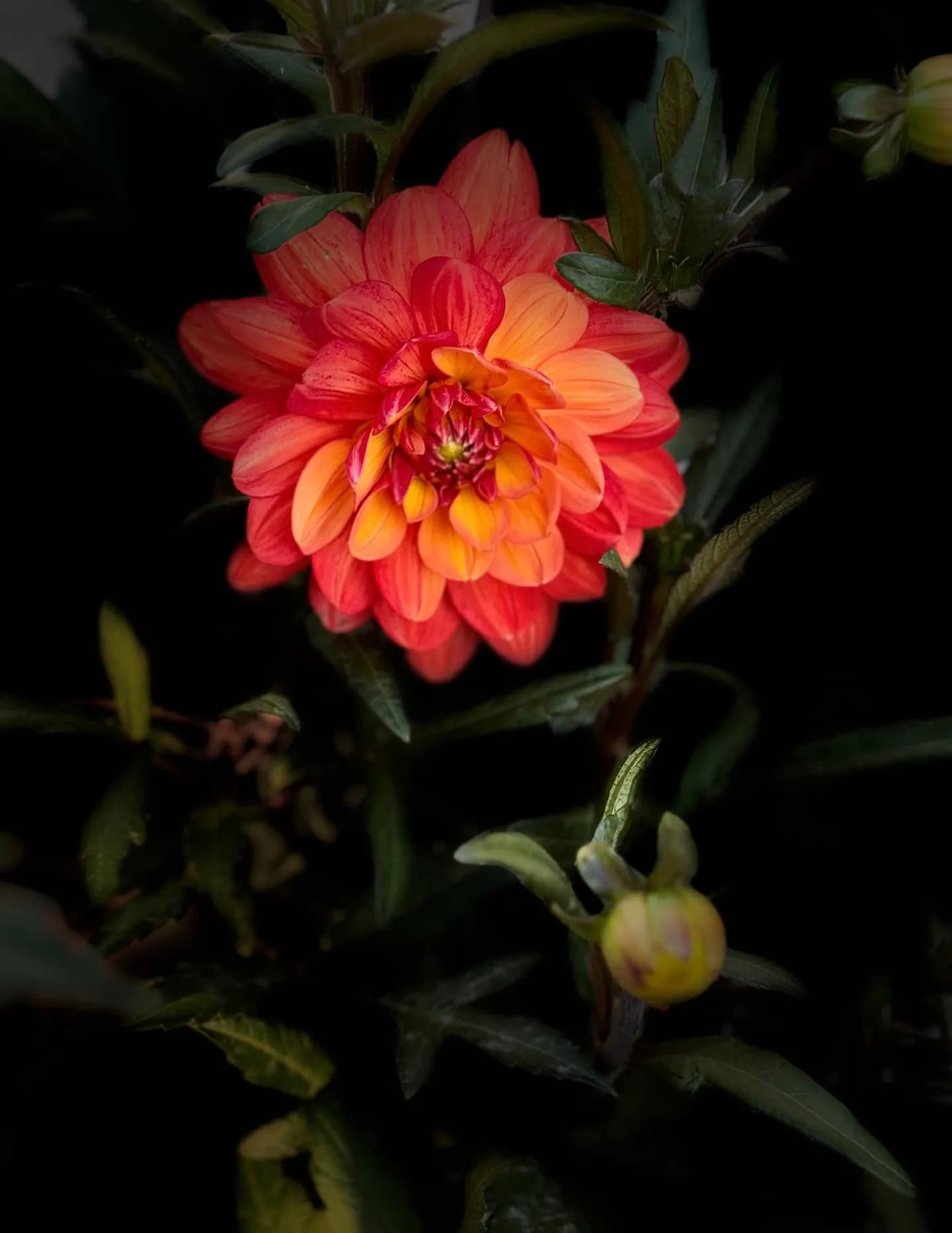 Marianna Estes image