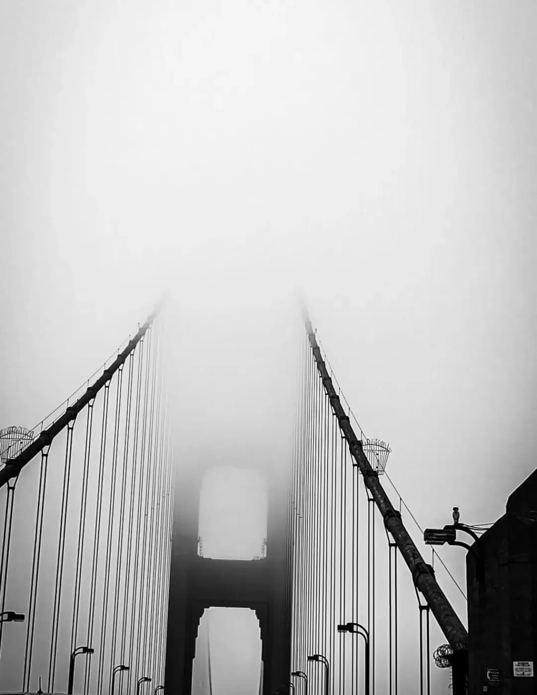 Hailey Yarbrough image