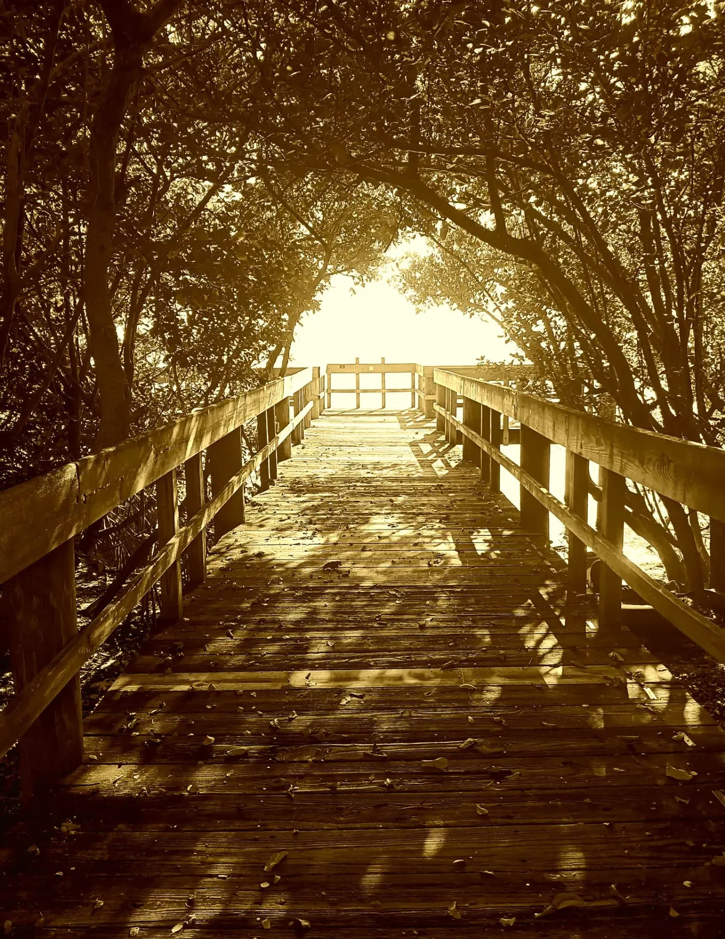 BeckStar image