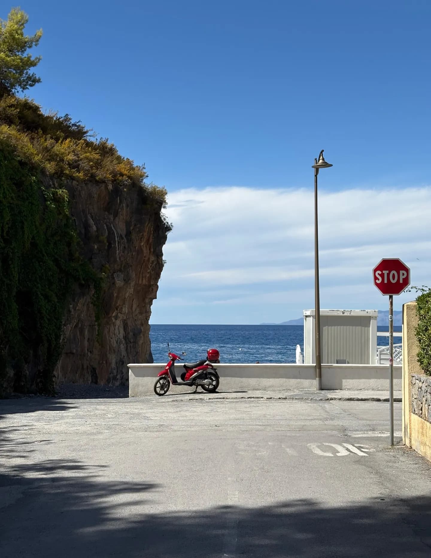 Marina D image