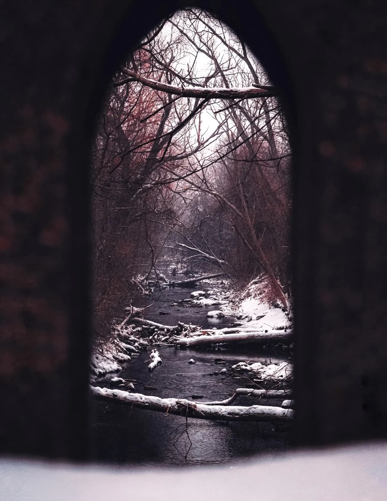 AD/80 image