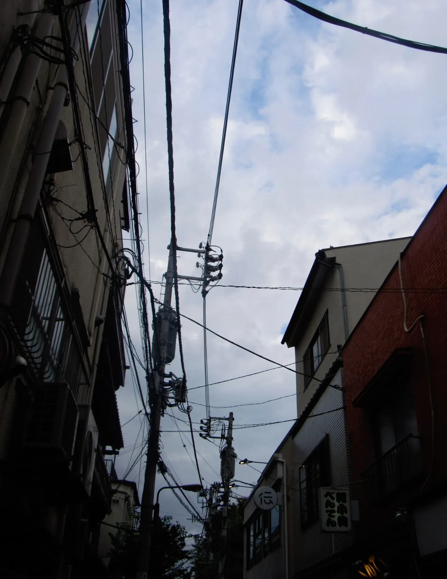 Emmakober image