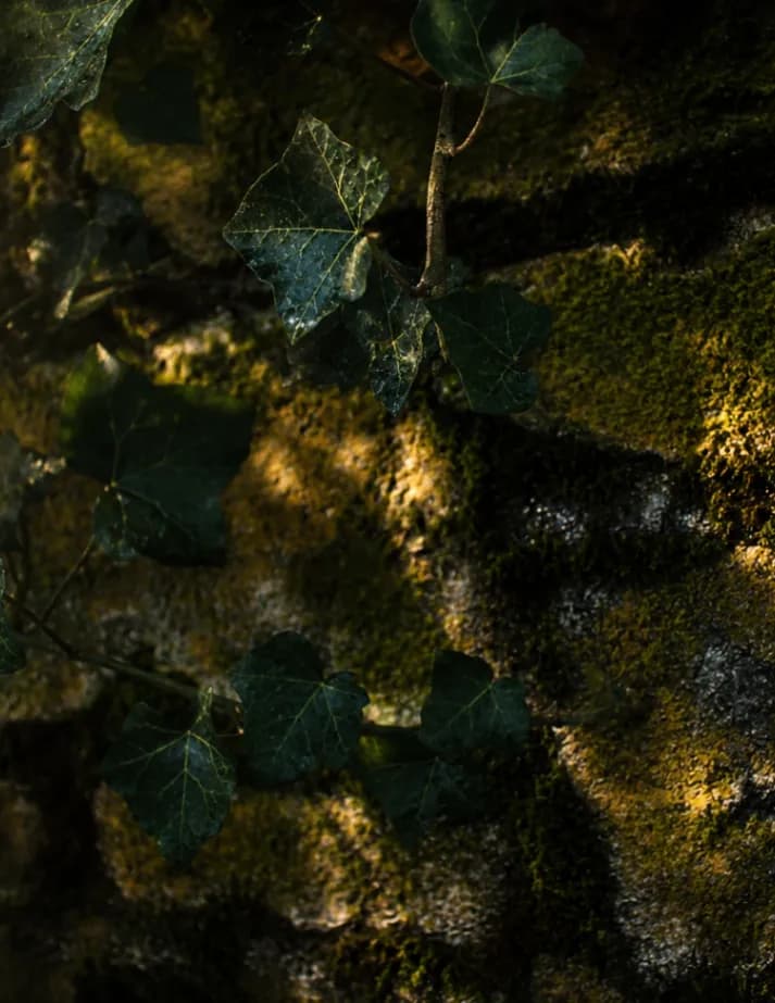 Amanda switzer image