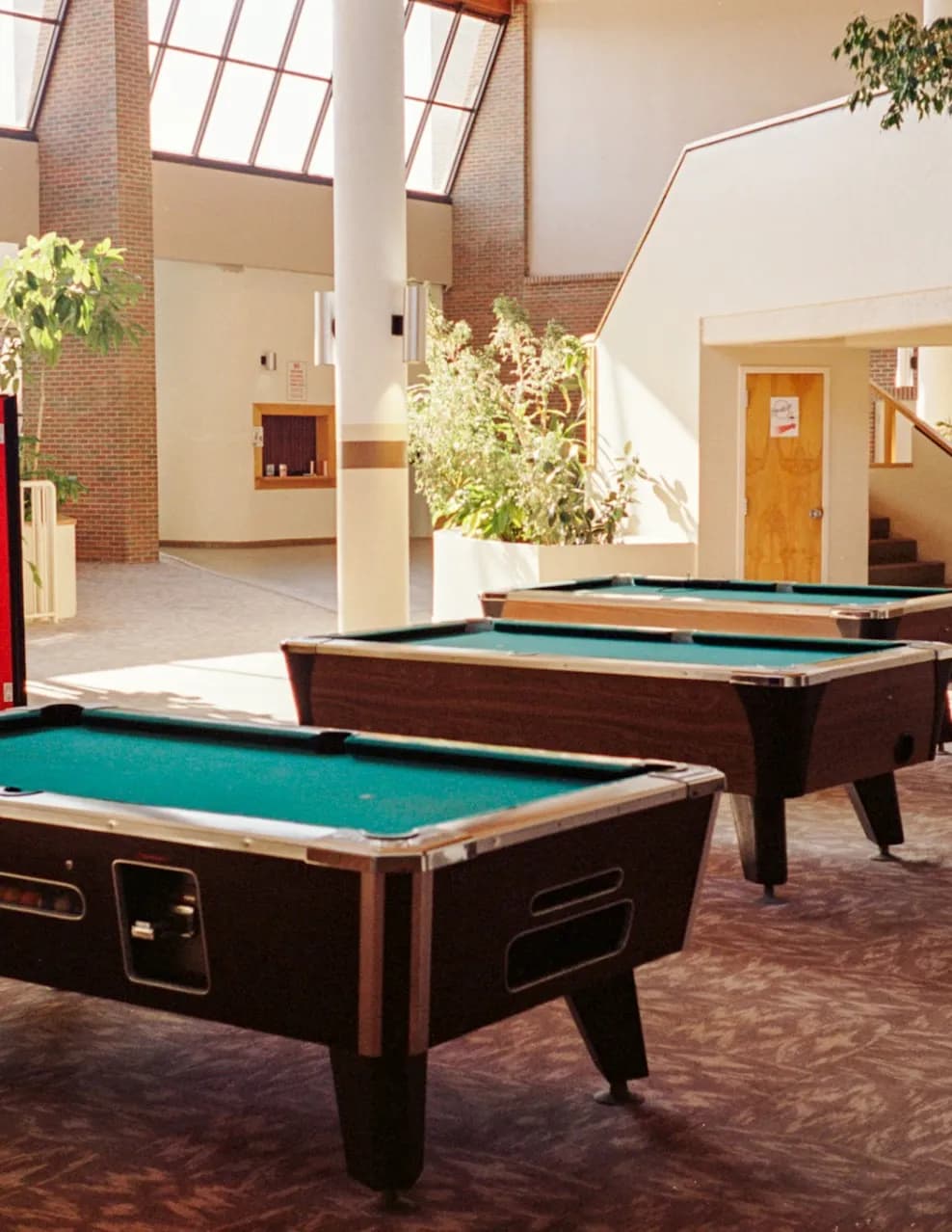 Backthepong image