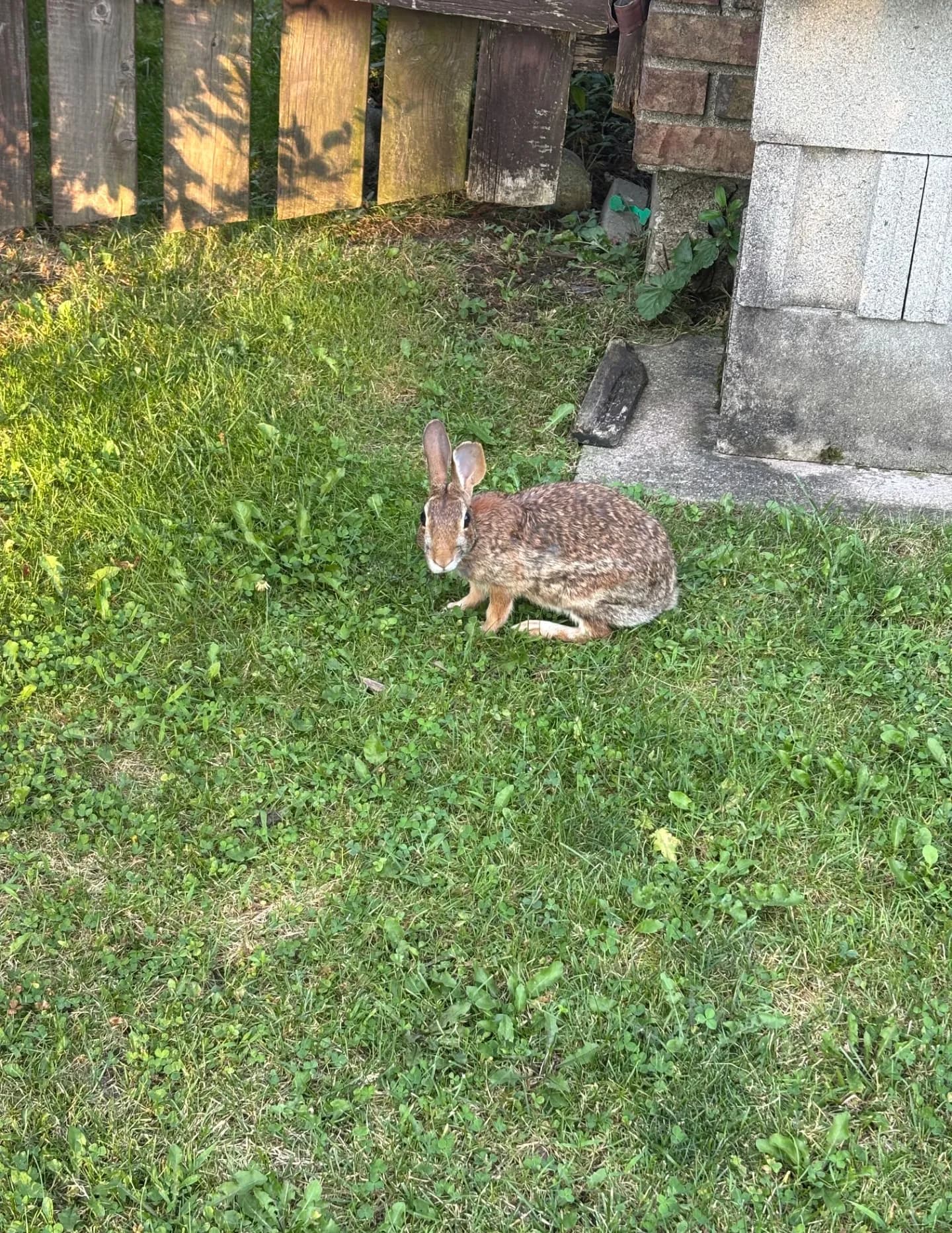 lwolbert64 image
