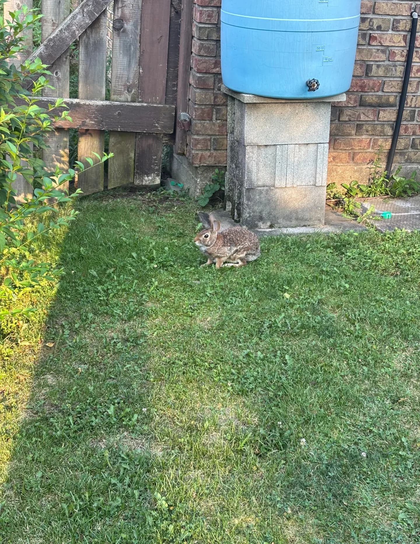 lwolbert64 image