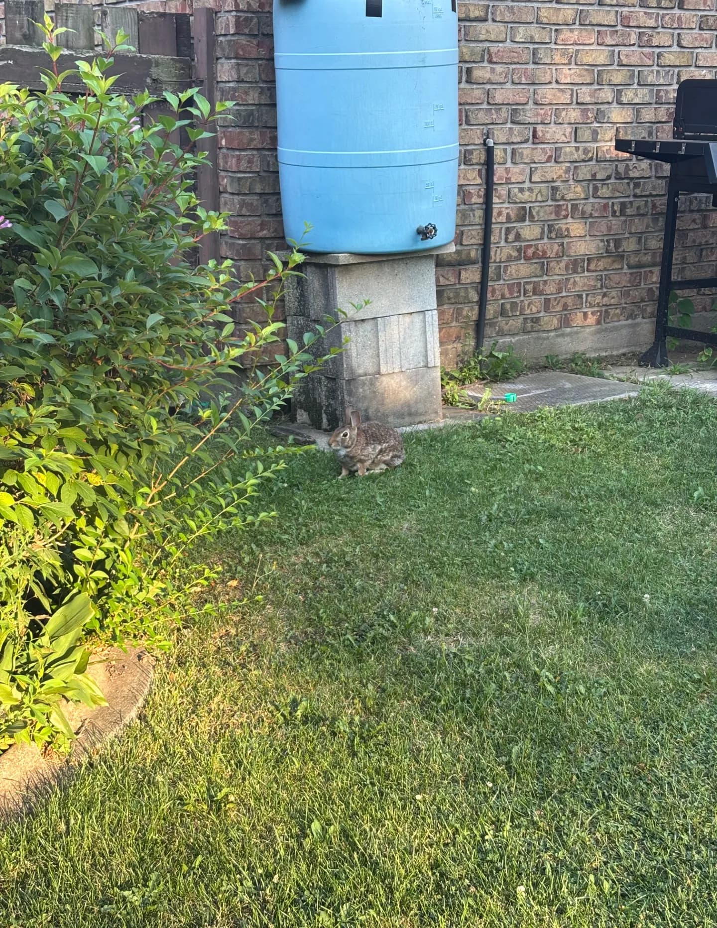 lwolbert64 image