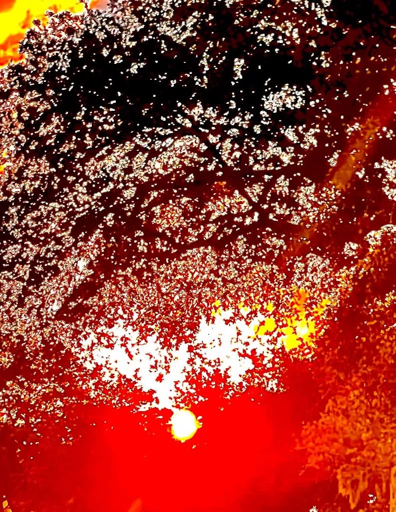 Jonathan Culbreth image