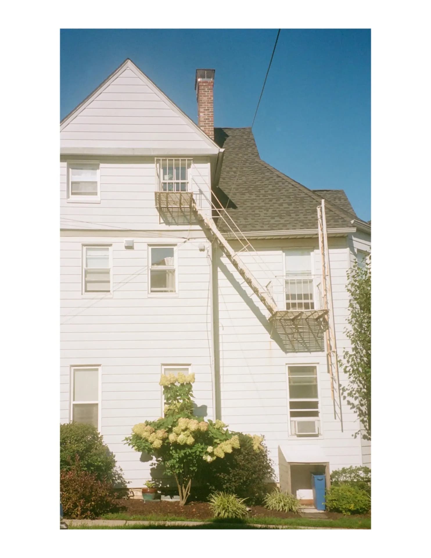 Lui image