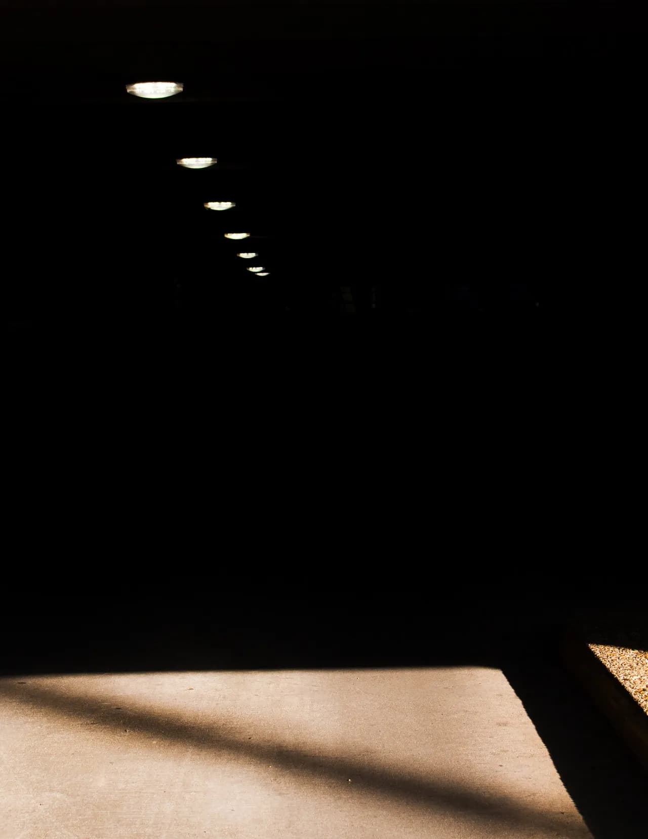 Will Brown image