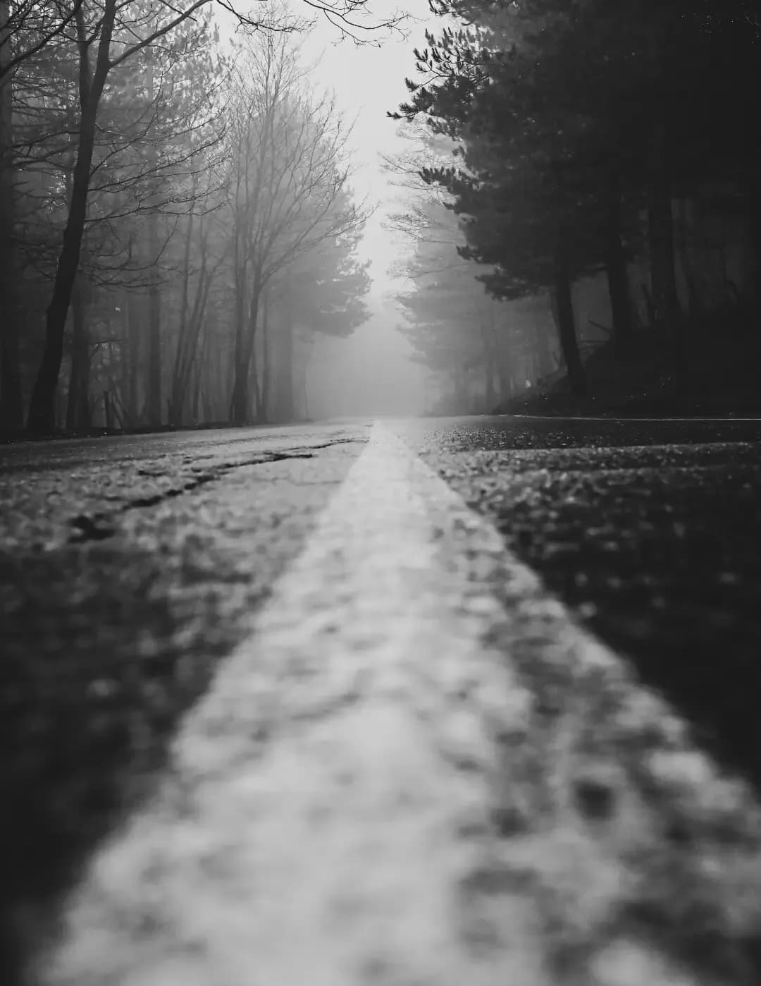Rebecca Rayer image