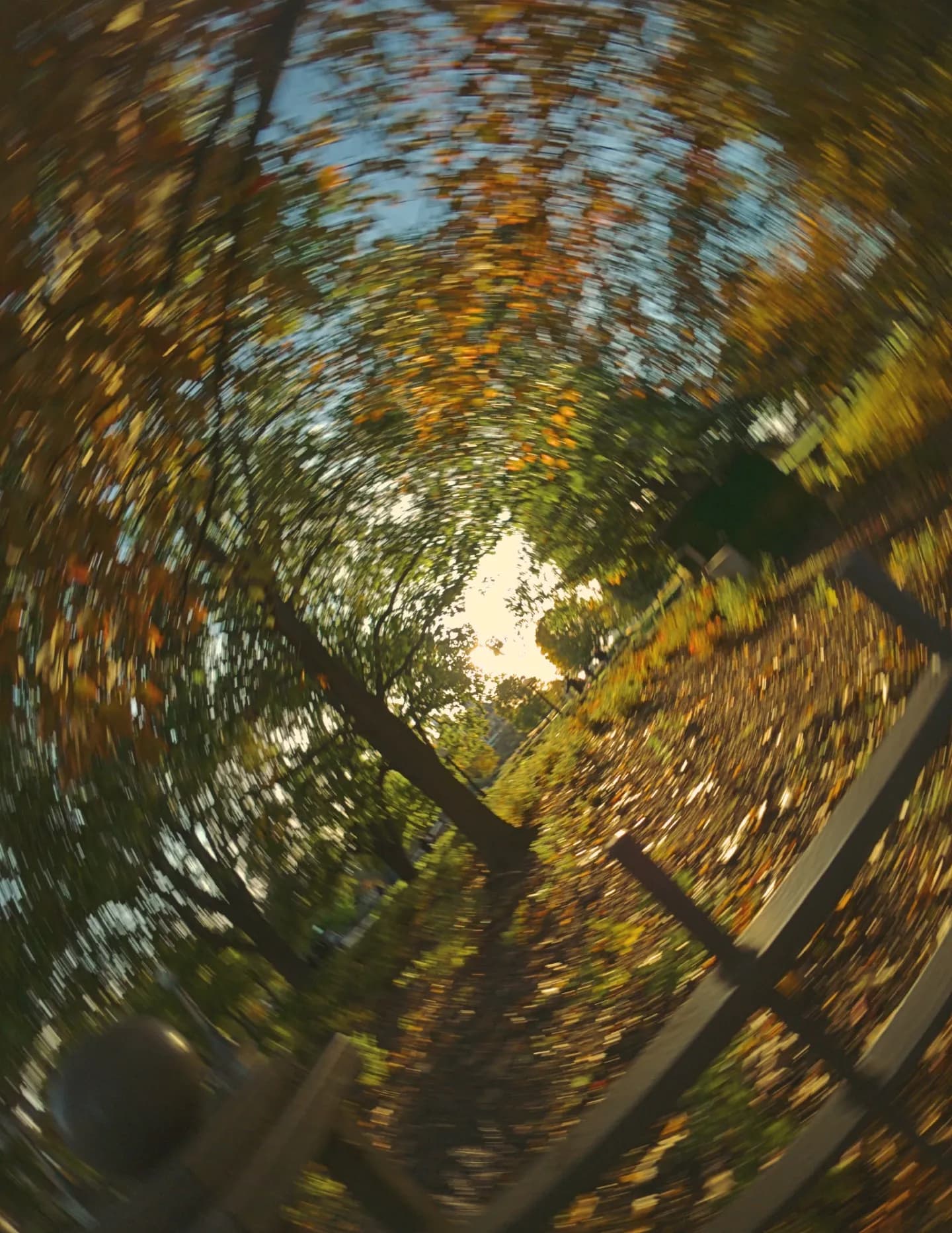 Fmakotoo image