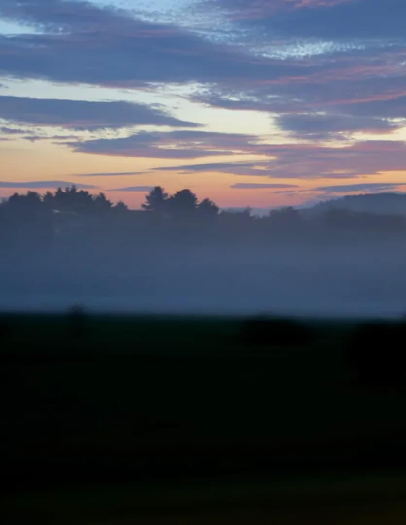LisaV_Photography image