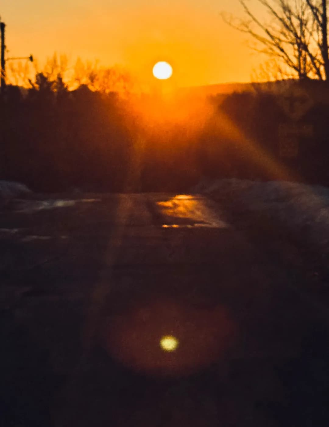 LisaV_Photography image