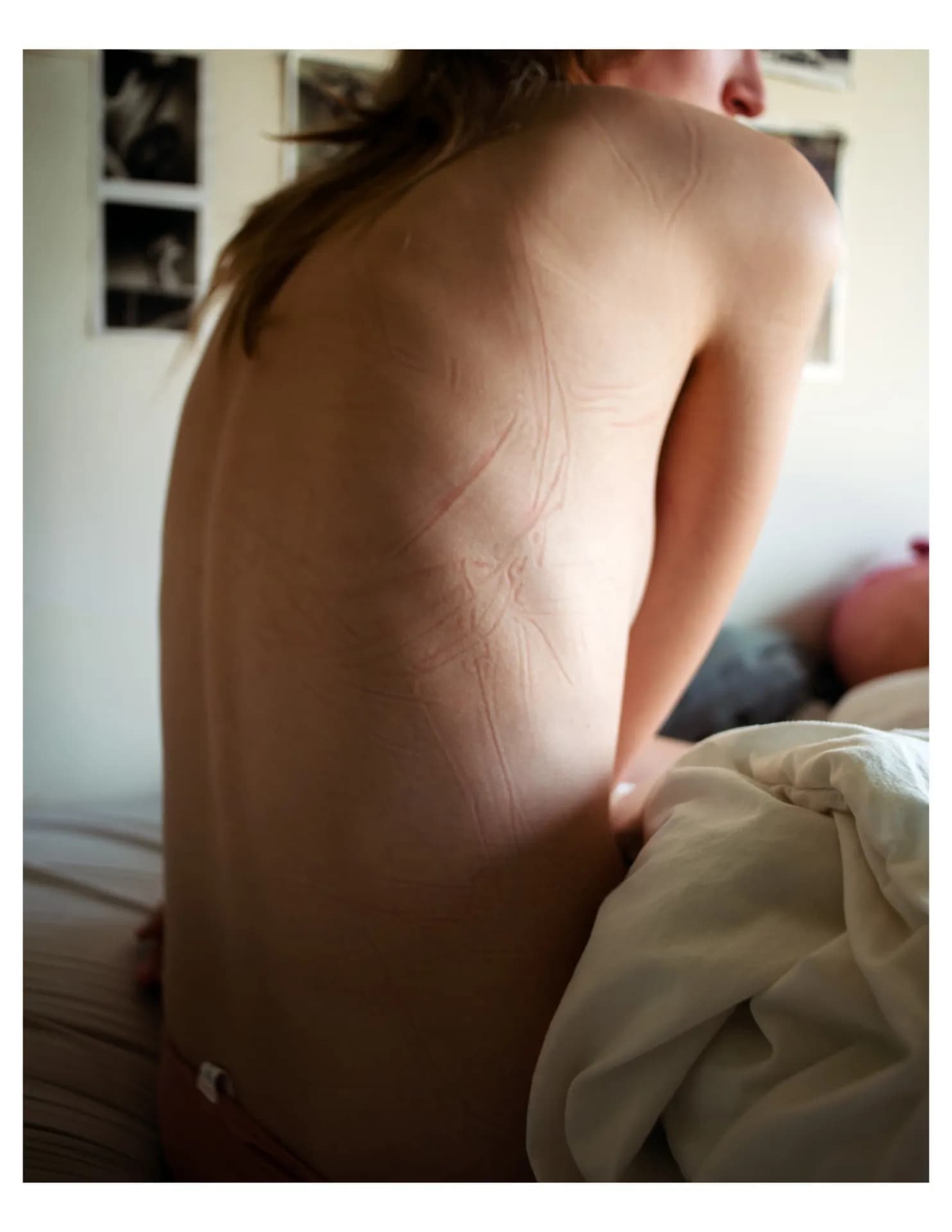 Wren Spangler image