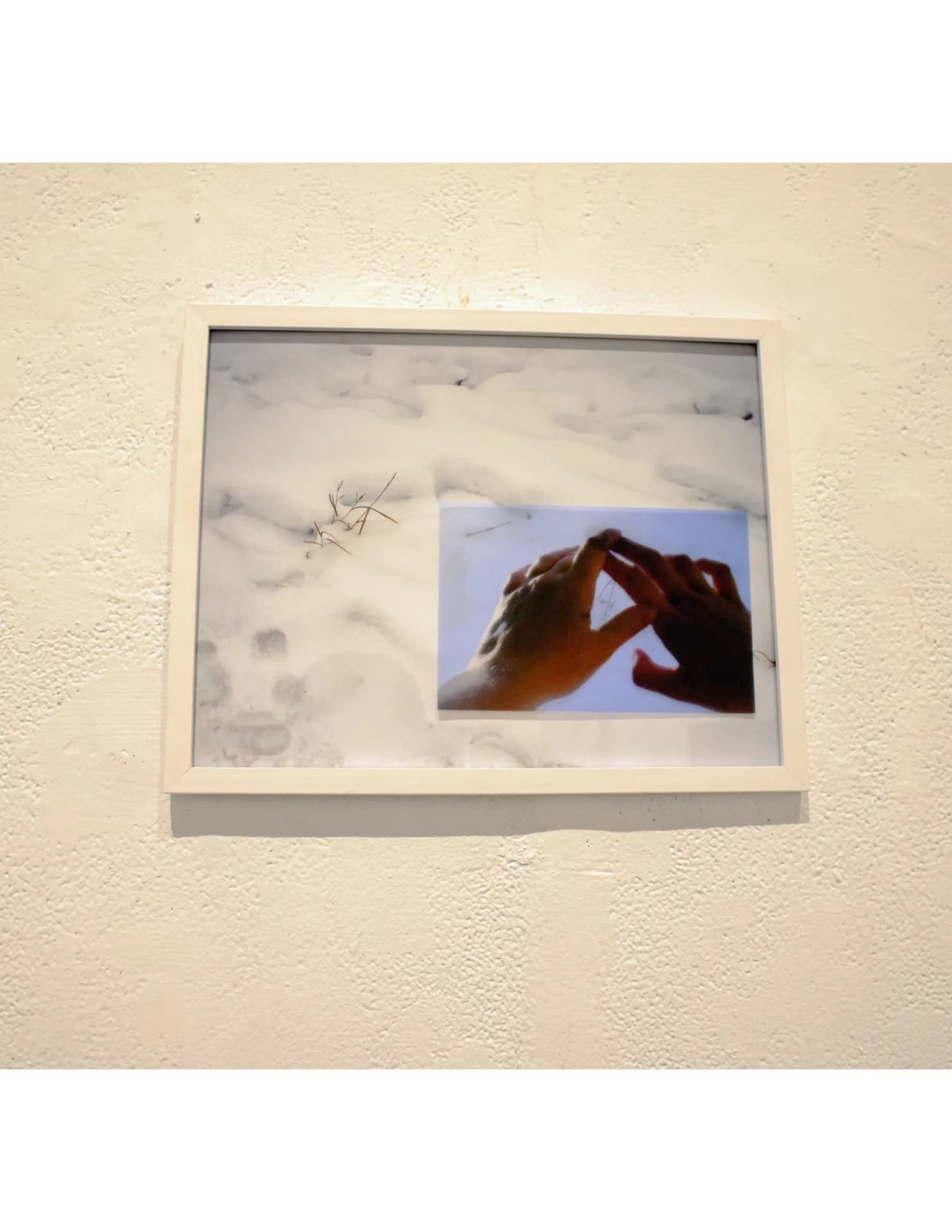 Wren Spangler image
