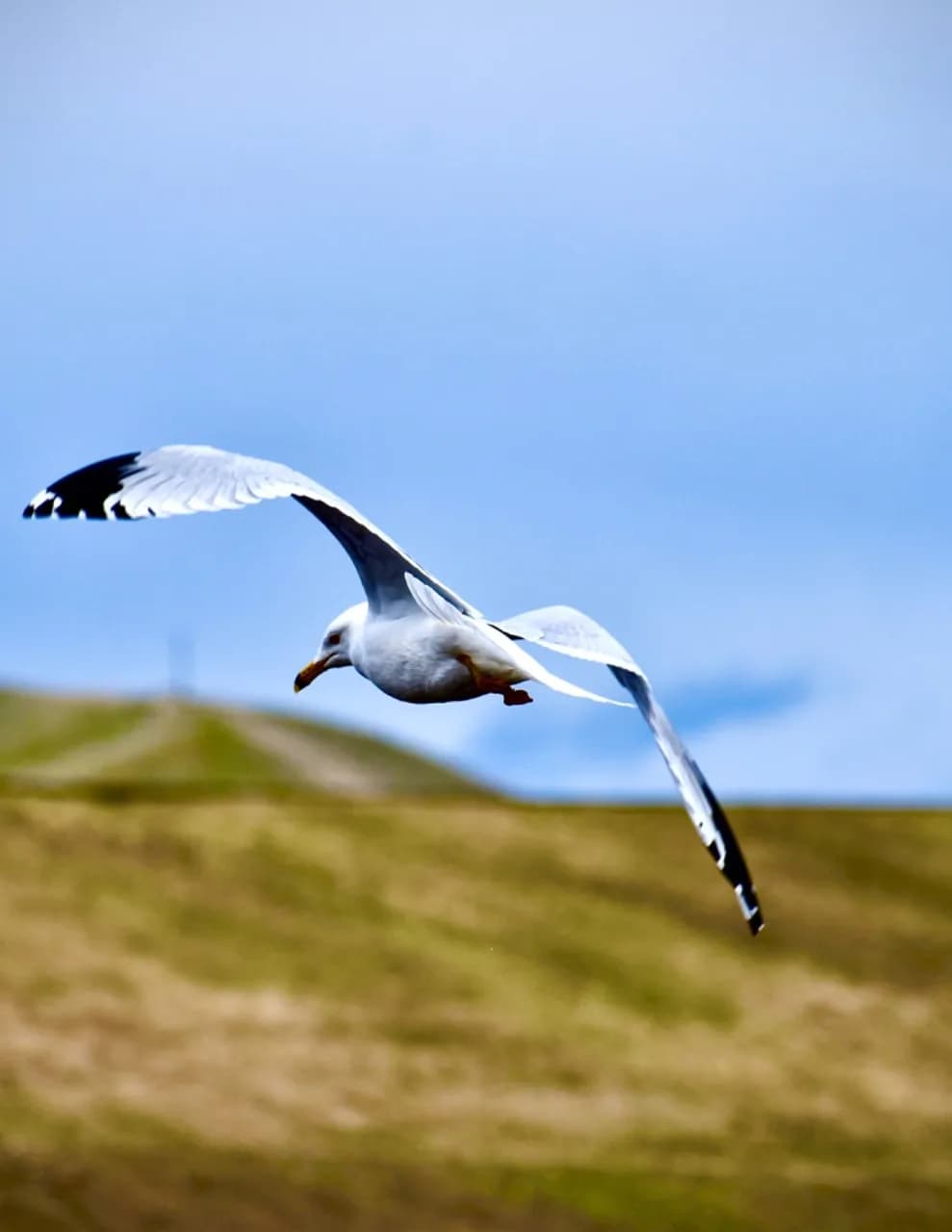 Tina Wakefield image
