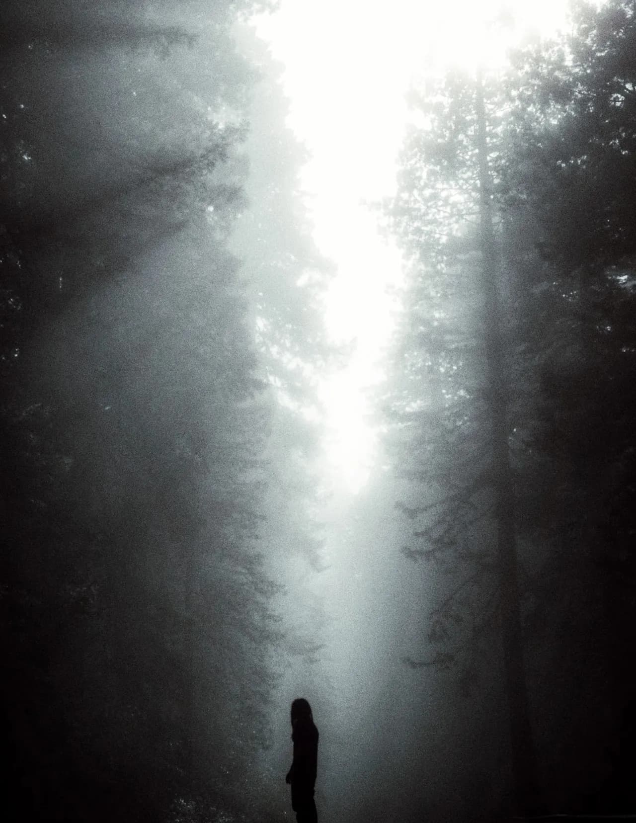sage_jonesy image