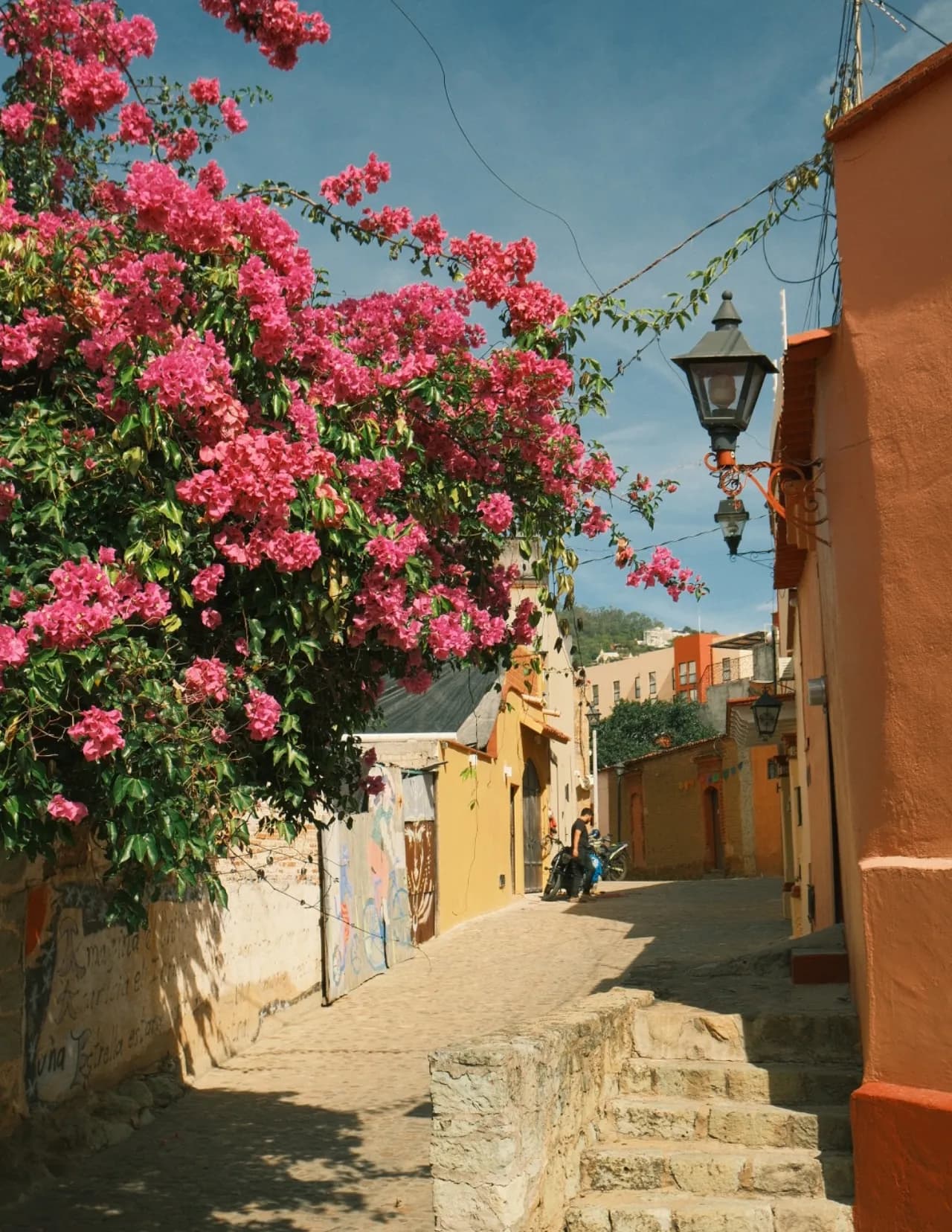 Isabel image