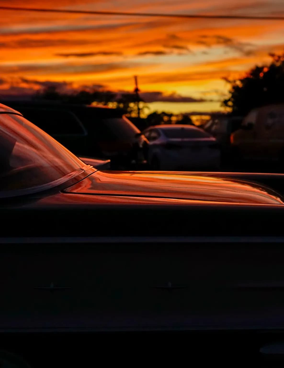 Anthony Alvarado | Anthony.Clicks image