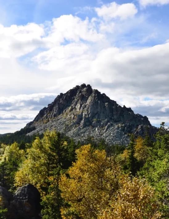 Olga Fleuren image