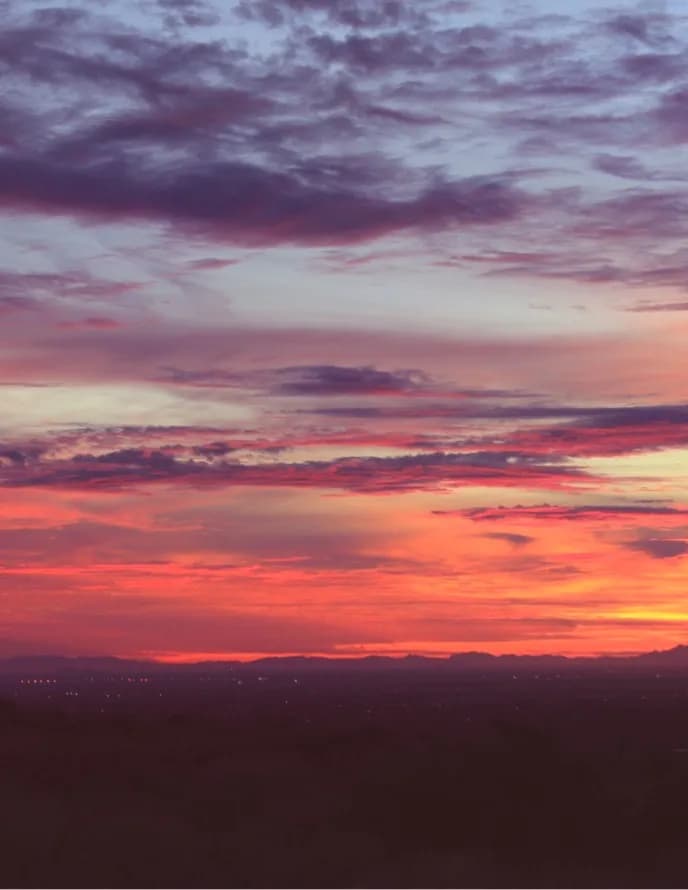 Olga Fleuren image
