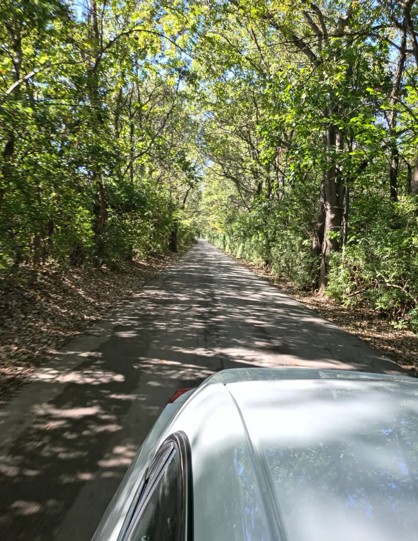 Josiah Brummett image