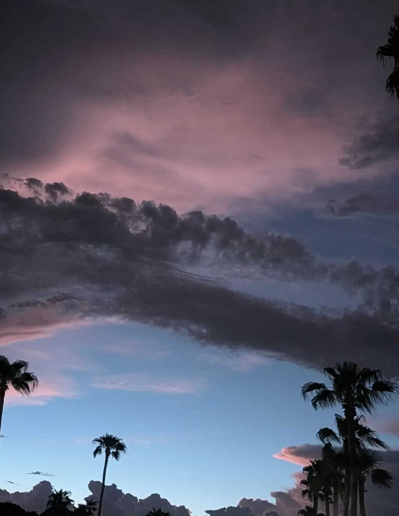 Mike Jones image