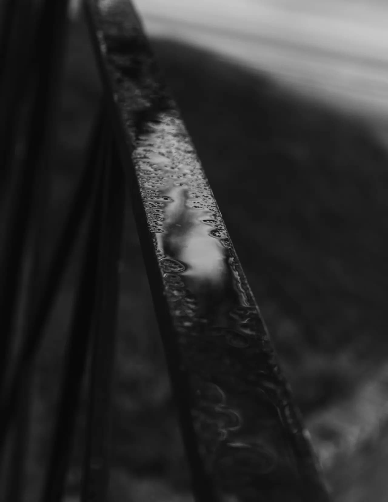 Evergreen.Stills image
