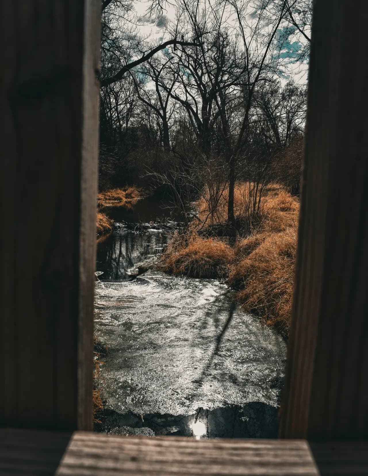 Framed By Haley image