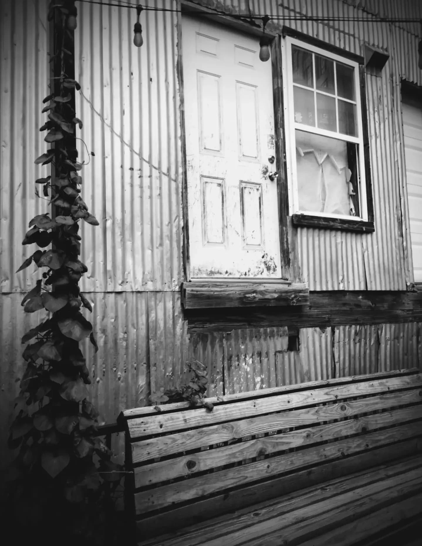 naturalselection_27 image