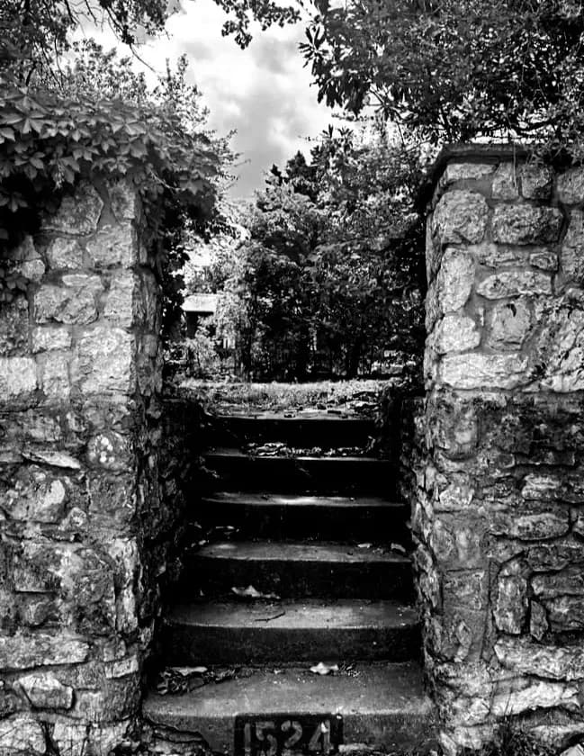 naturalselection_27 image
